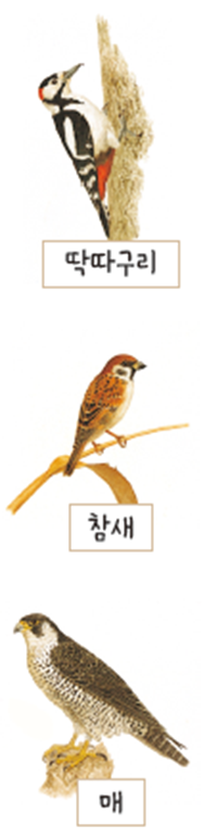 (주)미래엔 국어활동(1～2학년군)2-1 88쪽 수정내용 이미지