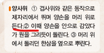 (주)금성출판사 체육② 169쪽 현행내용 이미지