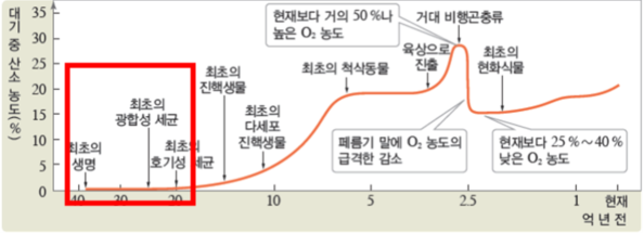 (주)비상교육 생명과학Ⅱ 156쪽 현행내용 이미지