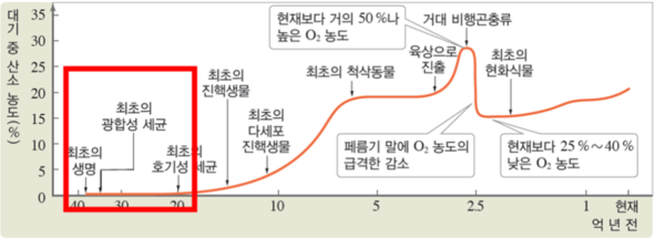 (주)비상교육 생명과학Ⅱ 156쪽 수정내용 이미지