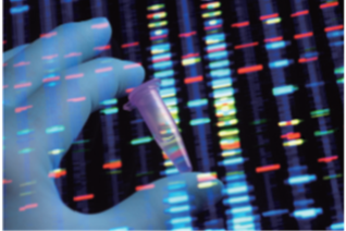 (주)비상교육 생물의 유전 104쪽 현행내용 이미지