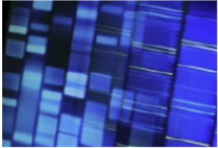 (주)비상교육 생물의 유전 104쪽 수정내용 이미지