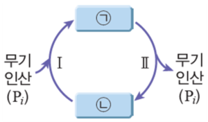 (주)비상교육 세포와 물질대사 77쪽 수정내용 이미지
