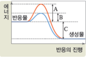 (주)비상교육 세포와 물질대사 78쪽 수정내용 이미지
