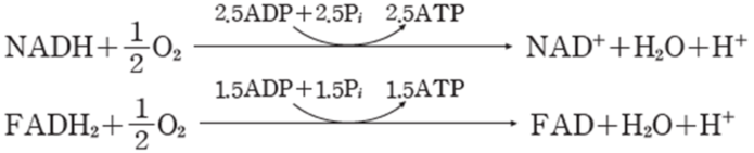(주)비상교육 세포와 물질대사 93쪽 현행내용 이미지