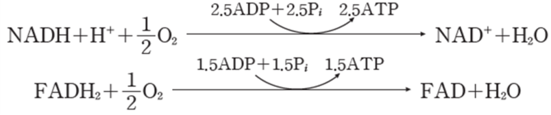 (주)비상교육 세포와 물질대사 93쪽 수정내용 이미지