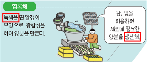 (주)천재교과서 과학1 39쪽 현행내용 이미지