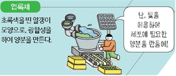 (주)천재교과서 과학1 39쪽 수정내용 이미지
