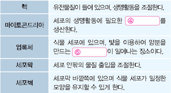 (주)천재교과서 과학1 46쪽 수정내용 이미지