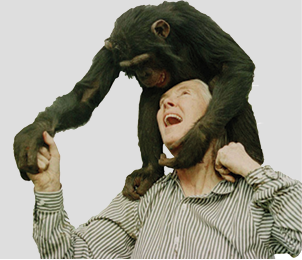 (주)천재교육 인간과 심리 19쪽 수정내용 이미지