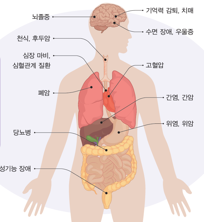 (주)와이비엠 체육1 23쪽 현행내용 이미지