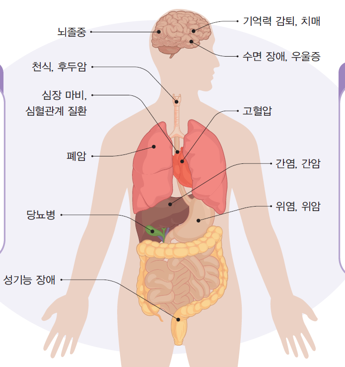 (주)와이비엠 체육1 23쪽 수정내용 이미지