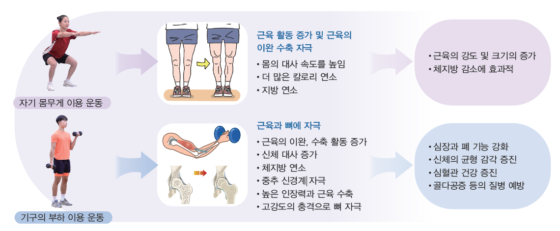 (주)와이비엠 체육2 12쪽 현행내용 이미지