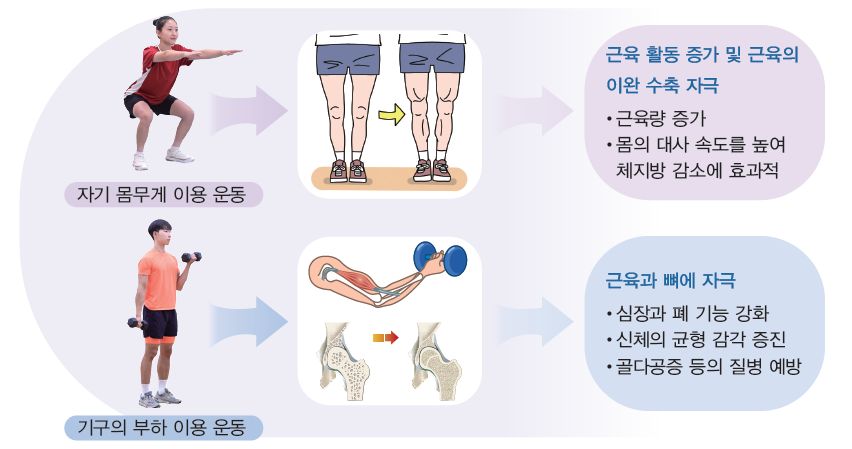 (주)와이비엠 체육2 12쪽 수정내용 이미지