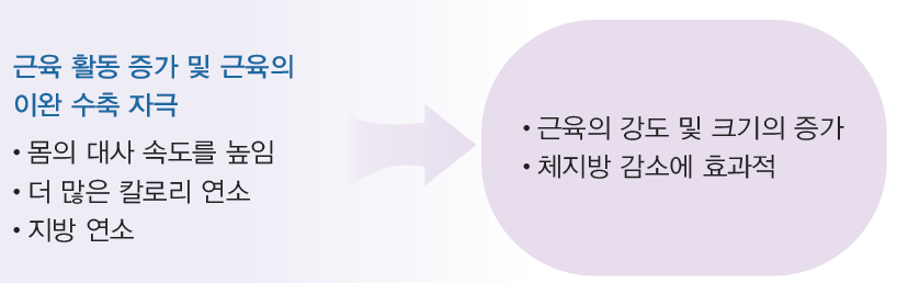 (주)와이비엠 체육2 12쪽 현행내용 이미지