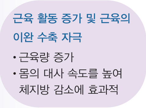 (주)와이비엠 체육2 12쪽 수정내용 이미지