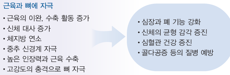 (주)와이비엠 체육2 12쪽 현행내용 이미지