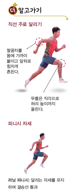 (주)와이비엠 체육2 65쪽 수정내용 이미지