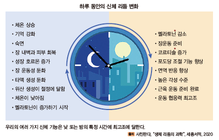 지구문화사 보건 29쪽 현행내용 이미지