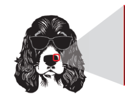 (주)천재교과서 정보 42쪽 현행내용 이미지