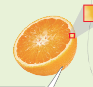 (주)천재교과서 정보 119쪽 현행내용 이미지