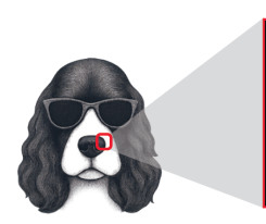 (주)천재교과서 정보 42쪽 수정내용 이미지