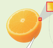 (주)천재교과서 정보 119쪽 수정내용 이미지