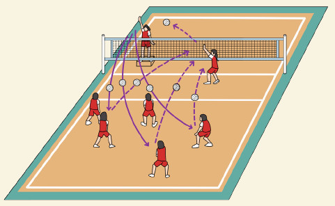 (주)미래엔 스포츠 생활2 83쪽 현행내용 이미지