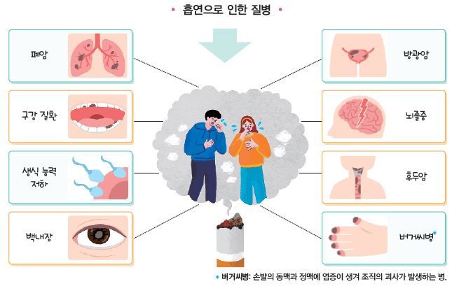 (주)천재교과서 보건 56쪽 현행내용 이미지