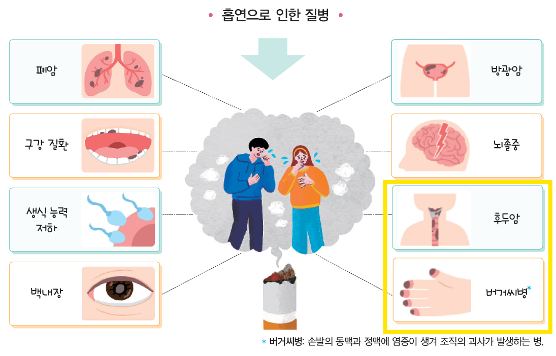 (주)천재교과서 보건 56쪽 수정내용 이미지