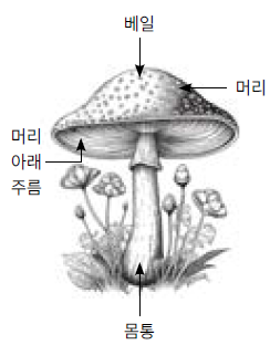 (주)미래엔 인공지능 기초 126쪽 현행내용 이미지