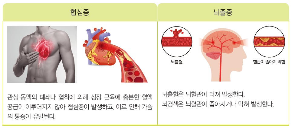 지구문화사 보건 143쪽 현행내용 이미지