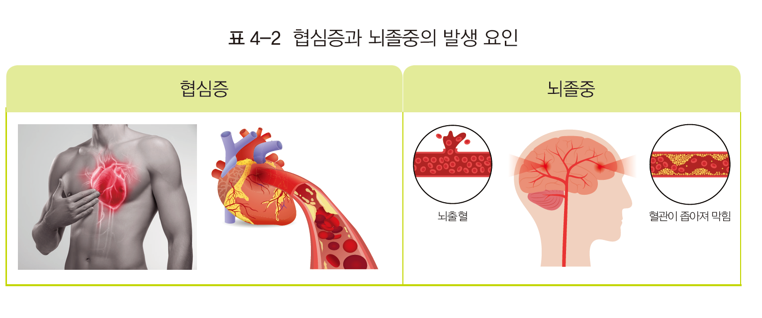 지구문화사 보건 143쪽 수정내용 이미지