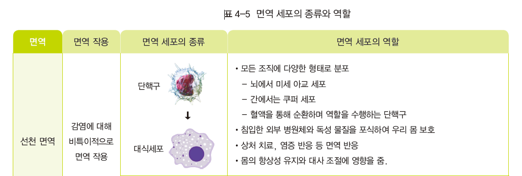 지구문화사 보건 150쪽 현행내용 이미지