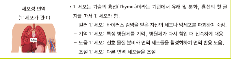 지구문화사 보건 150쪽 현행내용 이미지