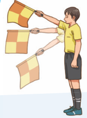 성안당 체육① 99쪽 현행내용 이미지