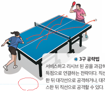 성안당 체육1 128쪽 현행내용 이미지