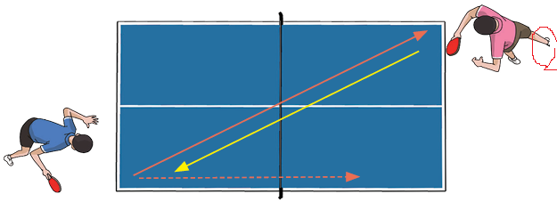 성안당 체육1 128쪽 현행내용 이미지