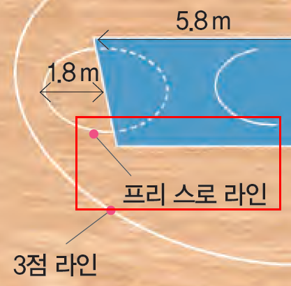 (주)교학사 스포츠 생활1 29쪽 현행내용 이미지