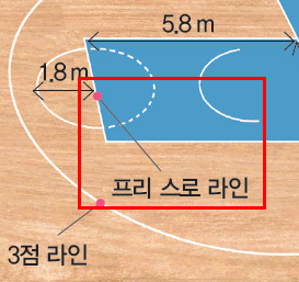 (주)교학사 스포츠 생활1 29쪽 수정내용 이미지