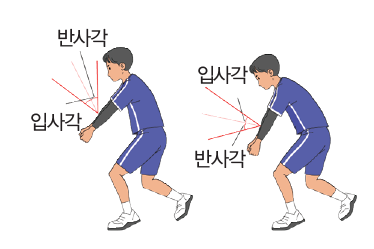 (주)교학사 스포츠 생활2 20쪽 수정내용 이미지