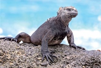 (주)비상교육 여행지리 85쪽 현행내용 이미지