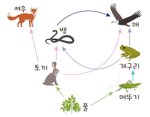 (주)천재교과서 정보 239쪽 현행내용 이미지