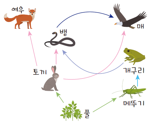 (주)천재교과서 정보 239쪽 수정내용 이미지