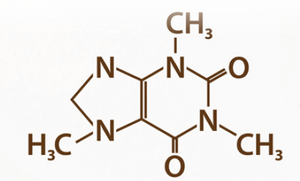 씨마스 생활과 과학 28쪽 현행내용 이미지