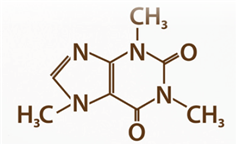 씨마스 생활과 과학 28쪽 수정내용 이미지