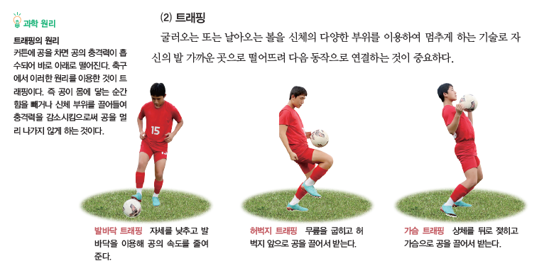 (주)교학사 스포츠 생활1 21쪽 수정내용 이미지