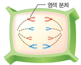 (주)천재교과서 과학3 189쪽 현행내용 이미지