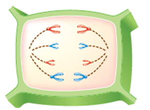 (주)천재교과서 과학3 189쪽 수정내용 이미지