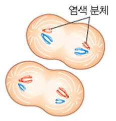 (주)천재교과서 과학3 193쪽 현행내용 이미지